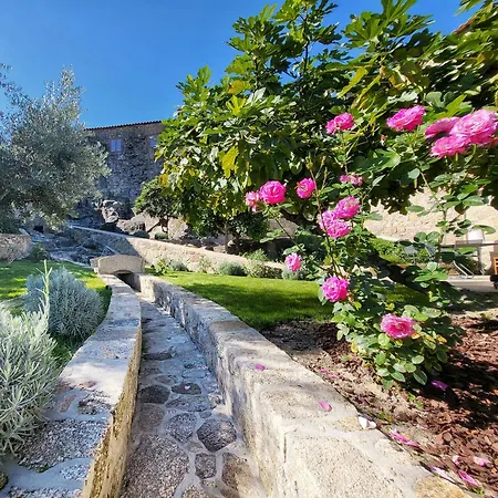 Um Jardim Em *
